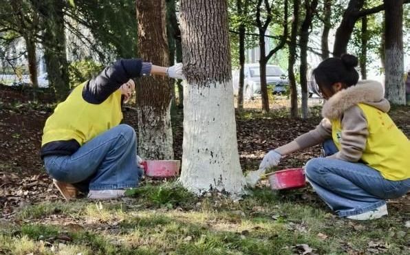 ���ŵ�����Ϸע����38�ʽ�