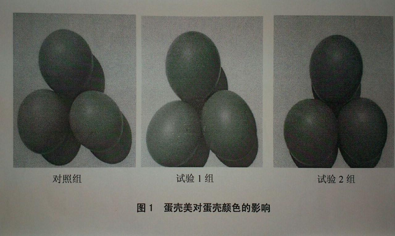 首页| 88858cc永利集团中国区官方网站