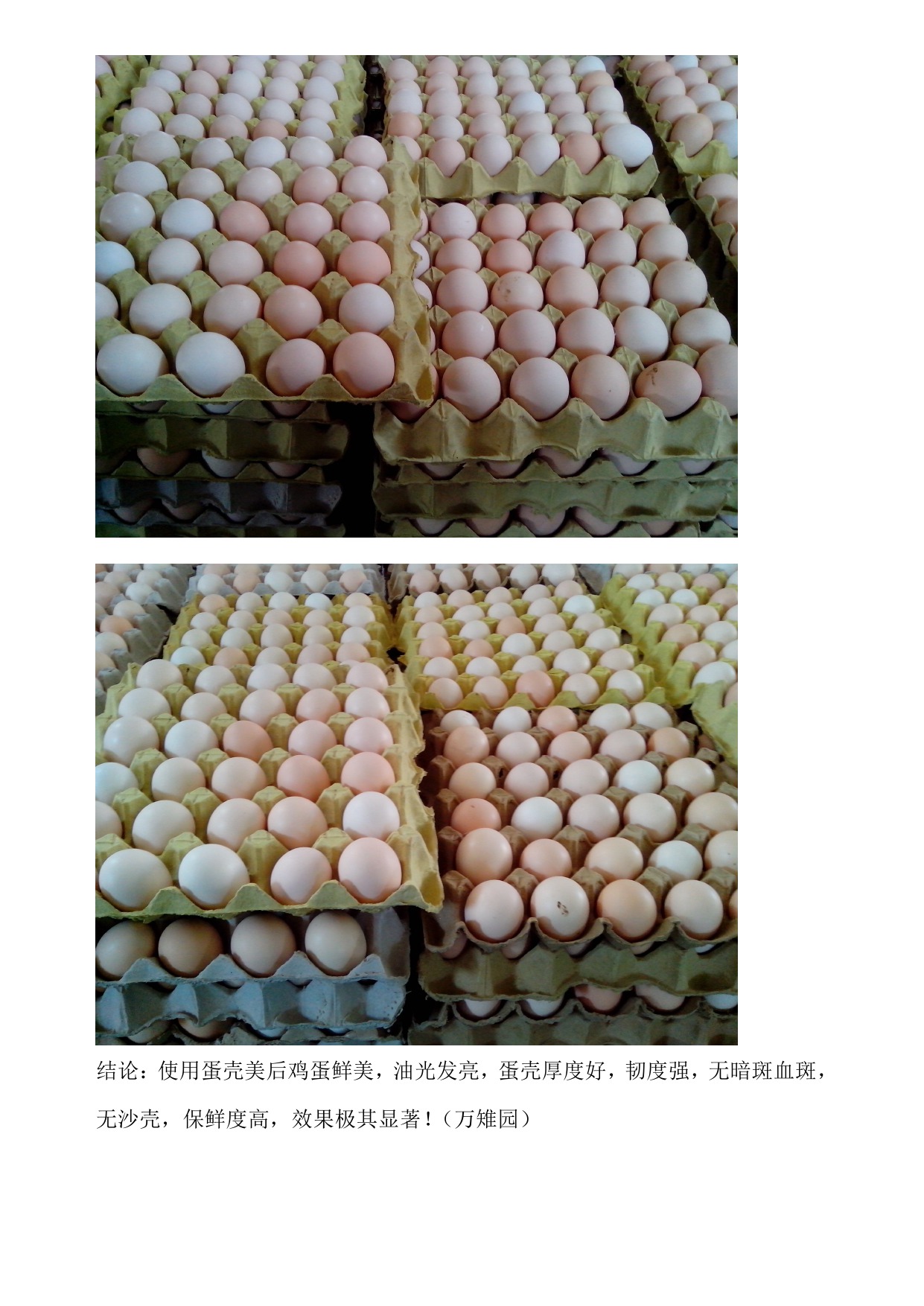 ��ҳ| 88858cc���������й����ٷ���վ